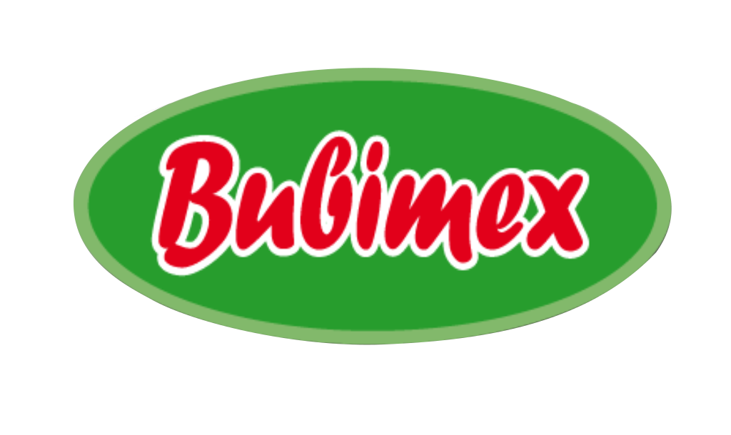 BUBIMEX séminaire