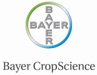 Bayer CropScience team building