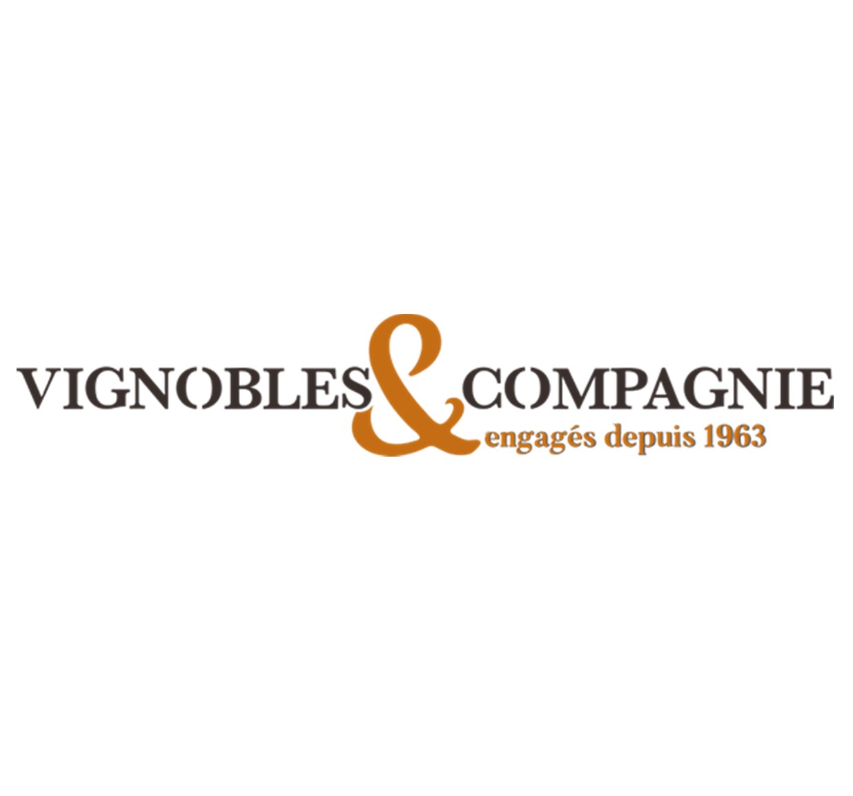 Logo vignobles et co