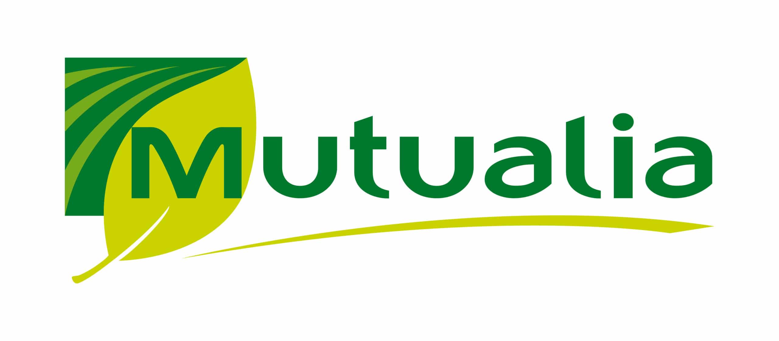 Activité entreprise Oxylio