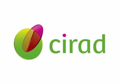 logo cirad