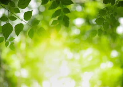 La nature au rendez-vous