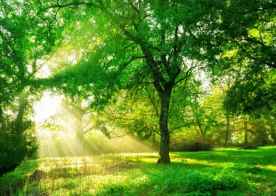 La nature au rendez-vous