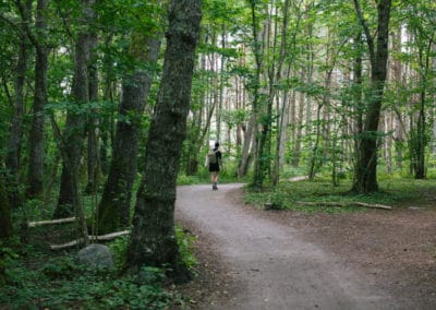 La randonnée à pied pour un bien-être physique et psychique