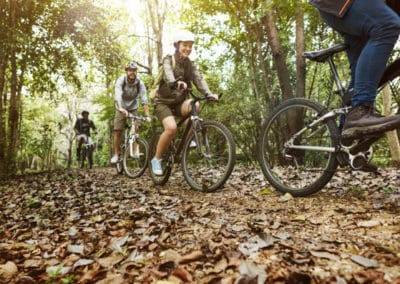 Groupe de cyclistes en randonnée dans un espace naturel