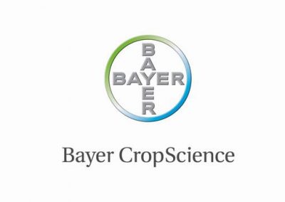 Bayer CropScience team building