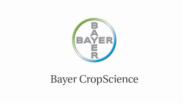 Bayer CropScience team building